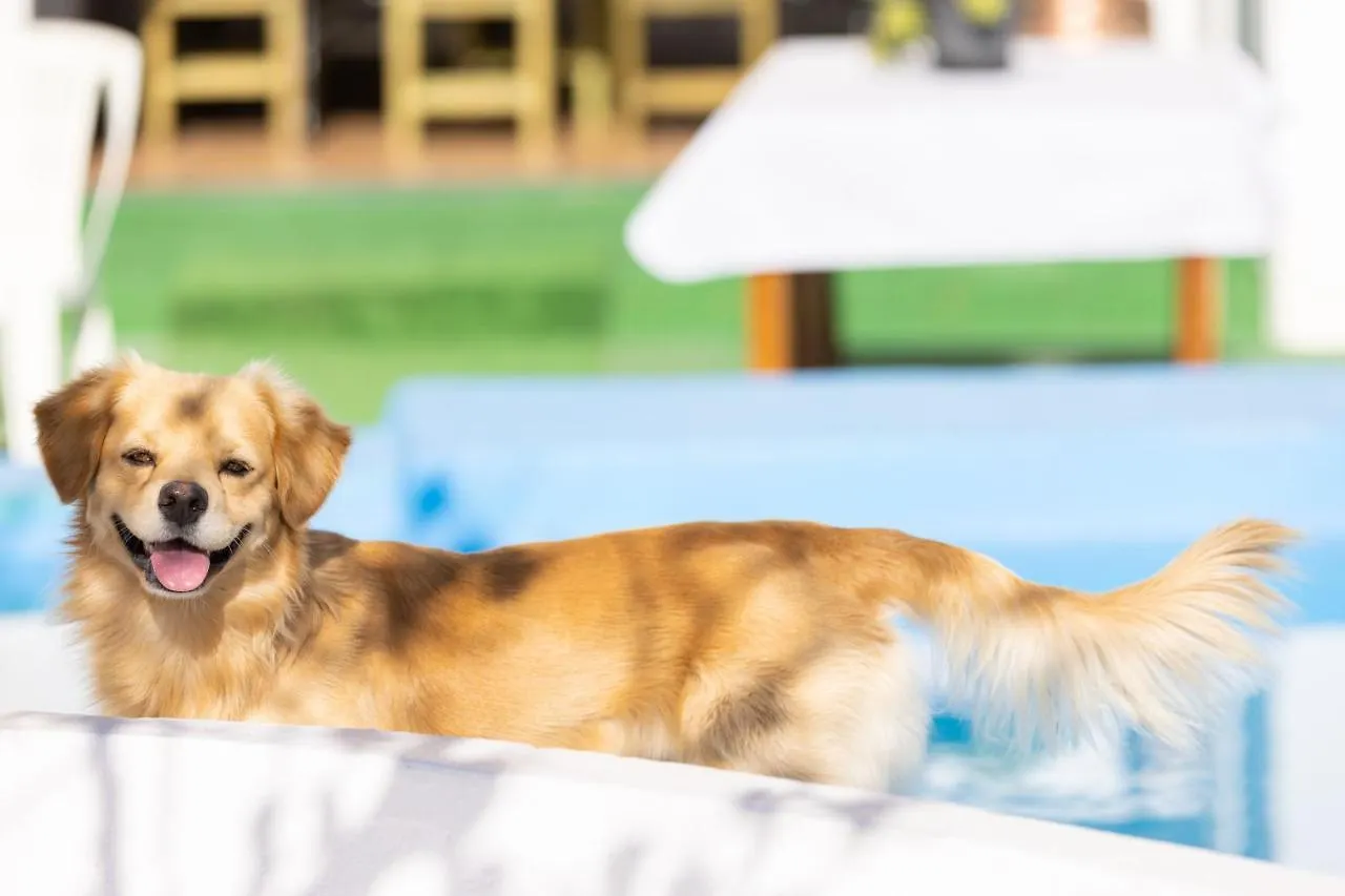 Villa Mountain, Seaviews, And Pool Relax By Sunkeyrents Fasnia España